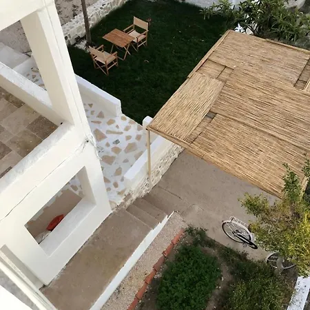 Arunurla Zeytinler Urla