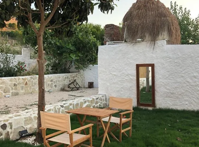 Arunurla Zeytinler
