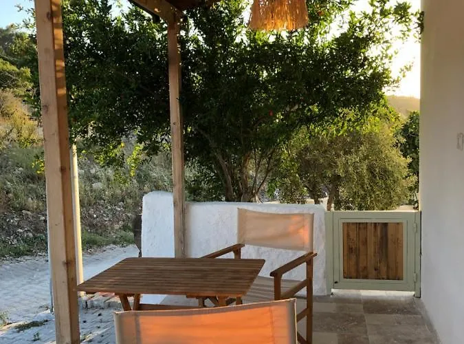 Arunurla Zeytinler *