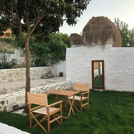 Arunurla Zeytinler