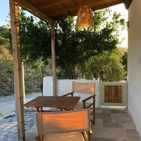 Arunurla Zeytinler *