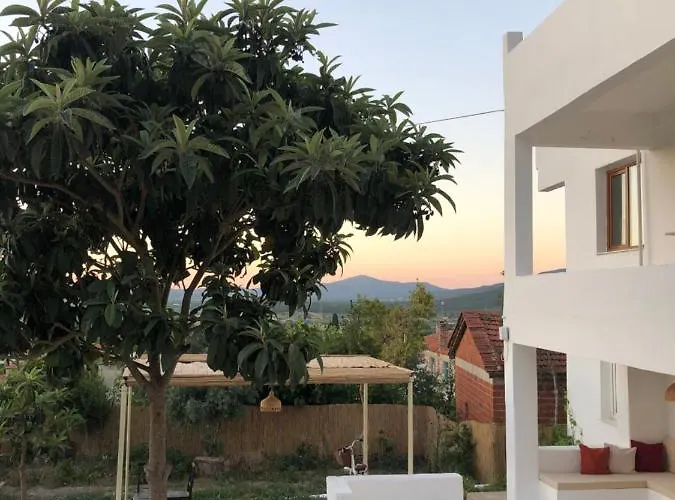 Arunurla Zeytinler Urla