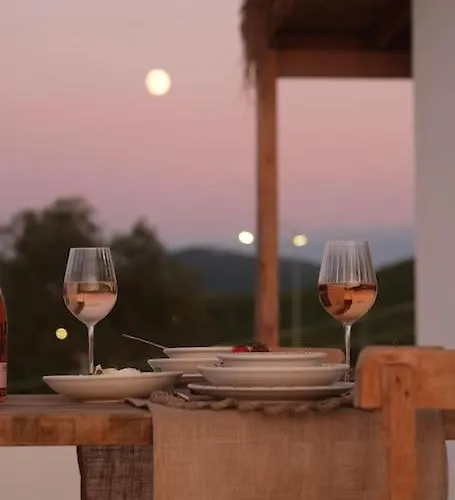 Prázdninový dům Arunurla Zeytinler *